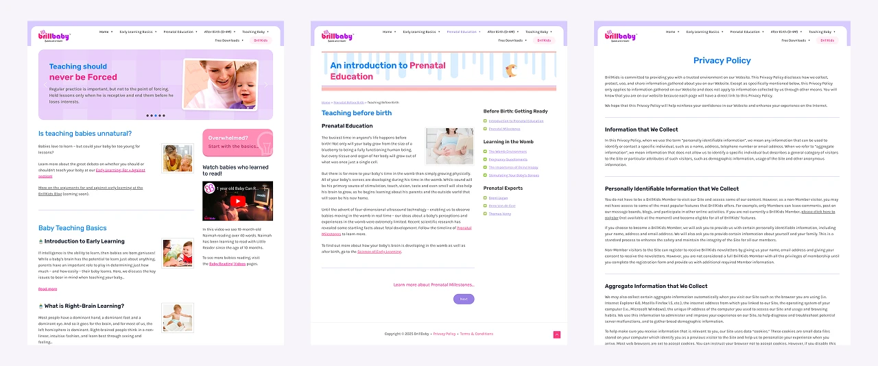 BrillBaby Graphic 16