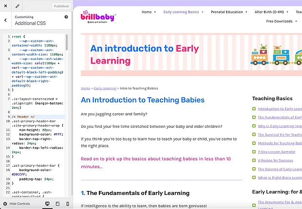 BrillBaby Graphic 19